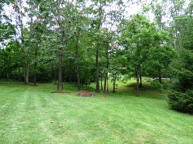 131 Moffett Branch Road Churchville, VA 24421 - Photo 48 of 50 a backyard of a house with lots of plants and large tree