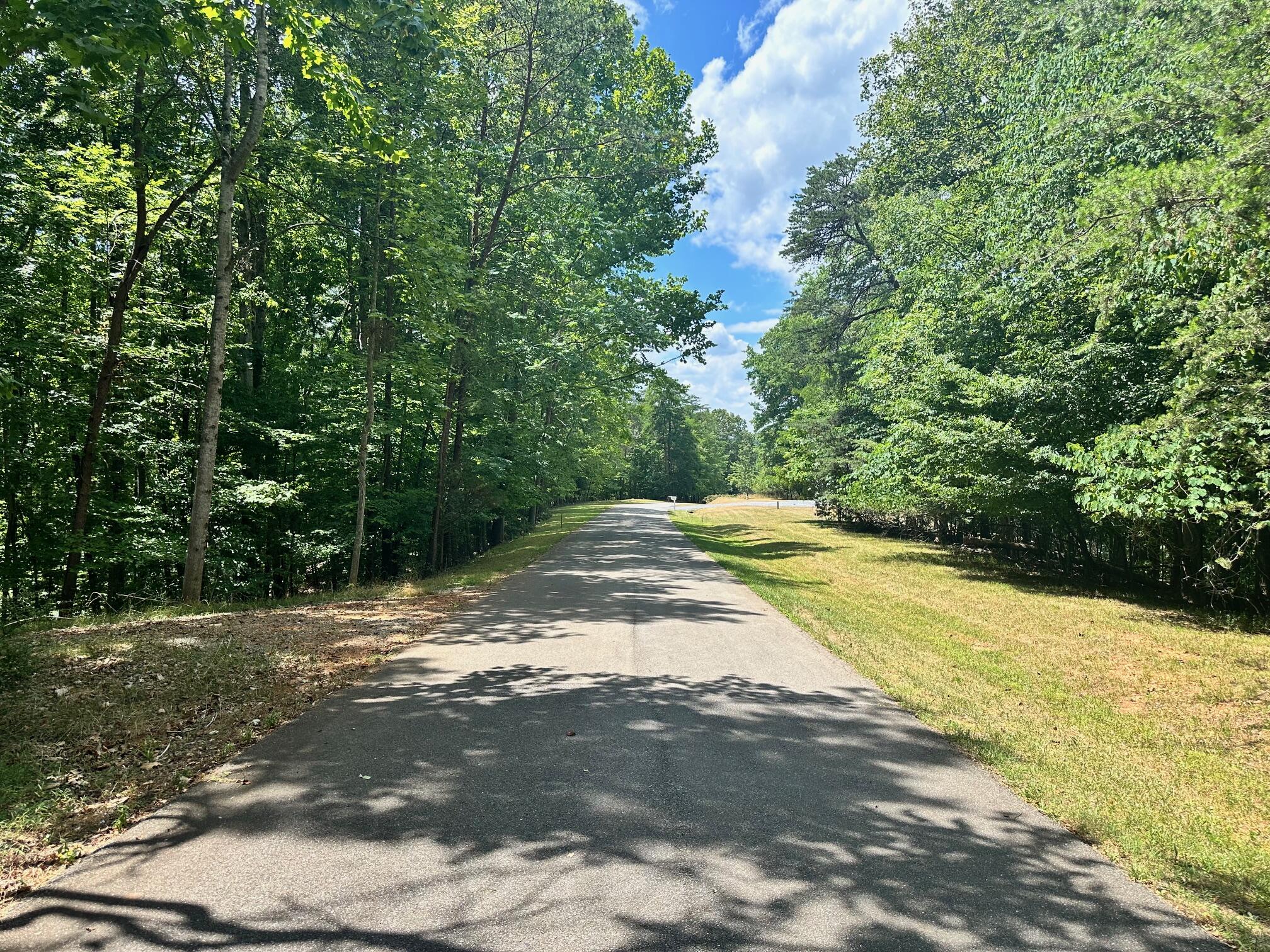 Lot 65 Ridgeway Court Moneta, VA 24121 - Photo 2 of 11 IMG_8776