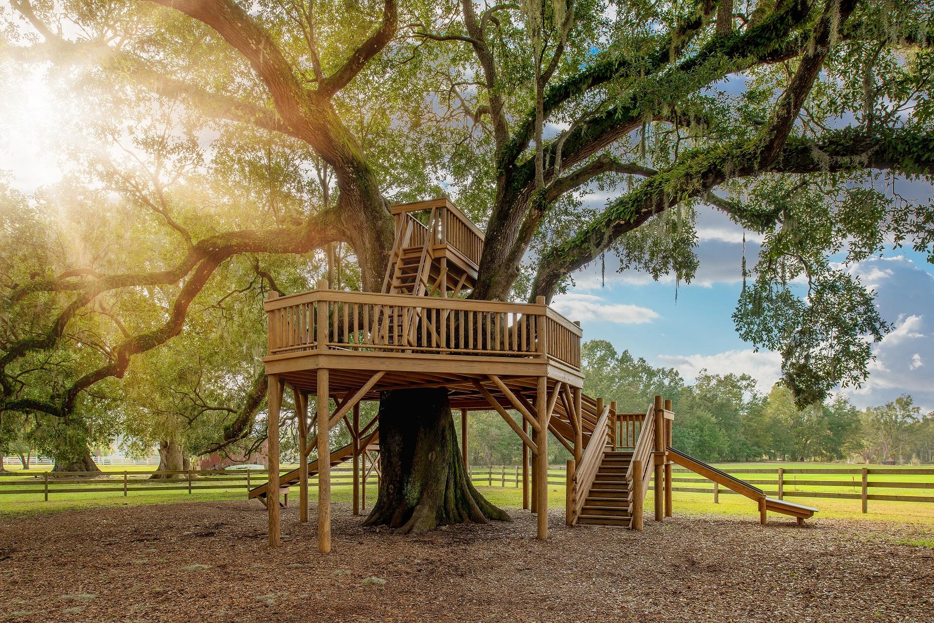 132 Whitetail Road Summerville, SC 29483 - Photo 18 of 20 treehouse2