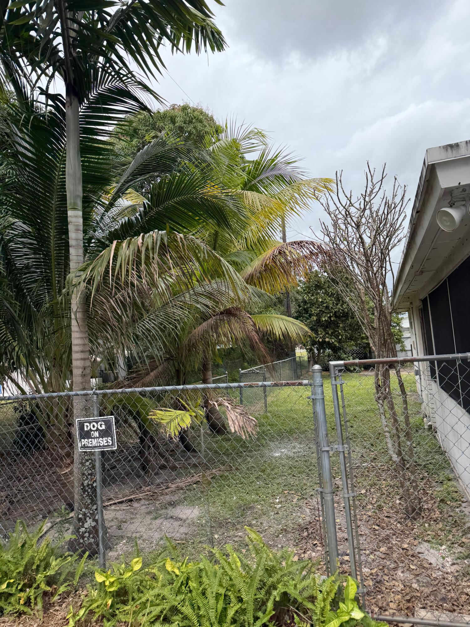 5601 Pierce Street Hollywood, FL 33021 - Photo 19 of 23 19