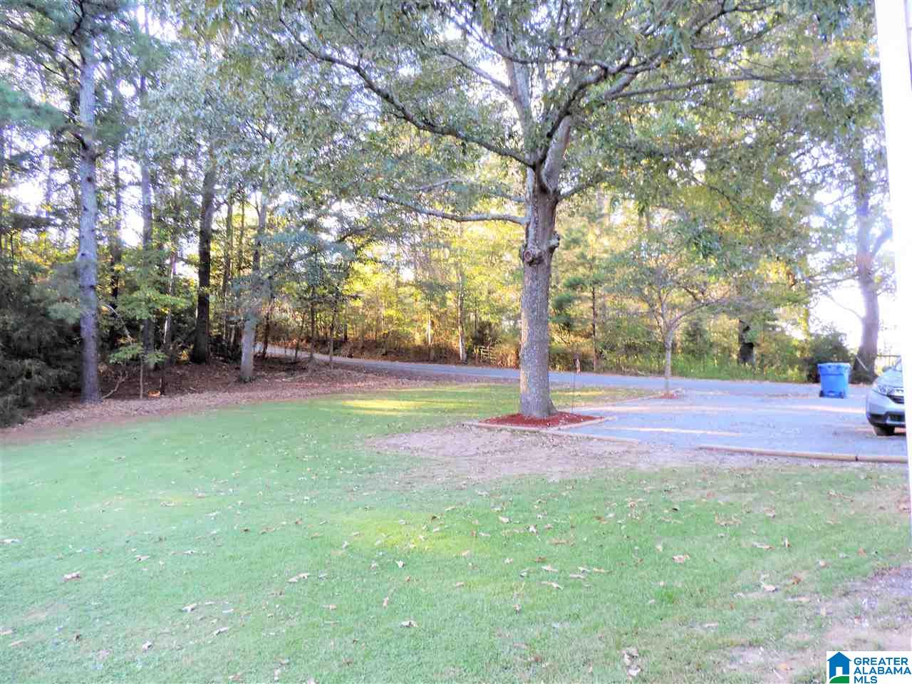 386 South Cemetery Road Blountsville, AL 35031 - Photo 4 of 35