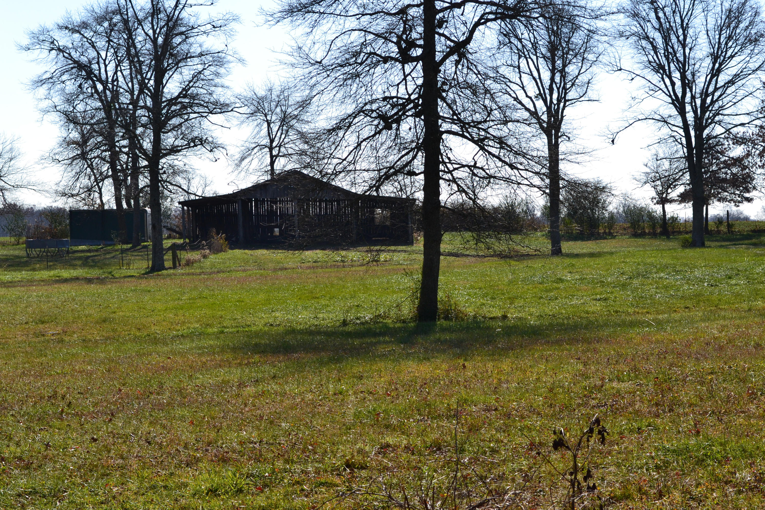 1020 Pine Ridge Lane Clarkrange, TN 38553 - Photo 12 of 39 Barn