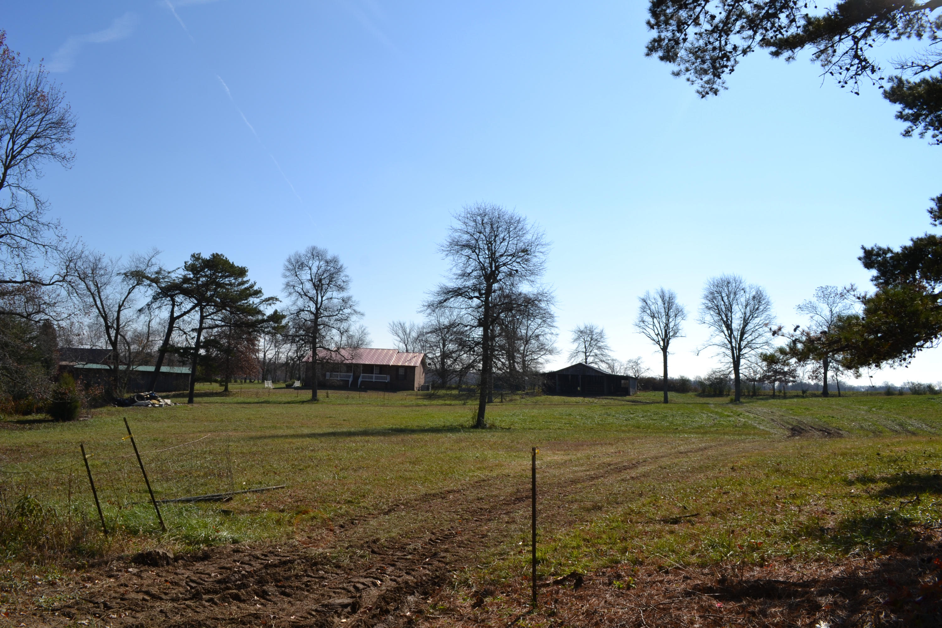 1020 Pine Ridge Lane Clarkrange, TN 38553 - Photo 13 of 39 Fenced Field