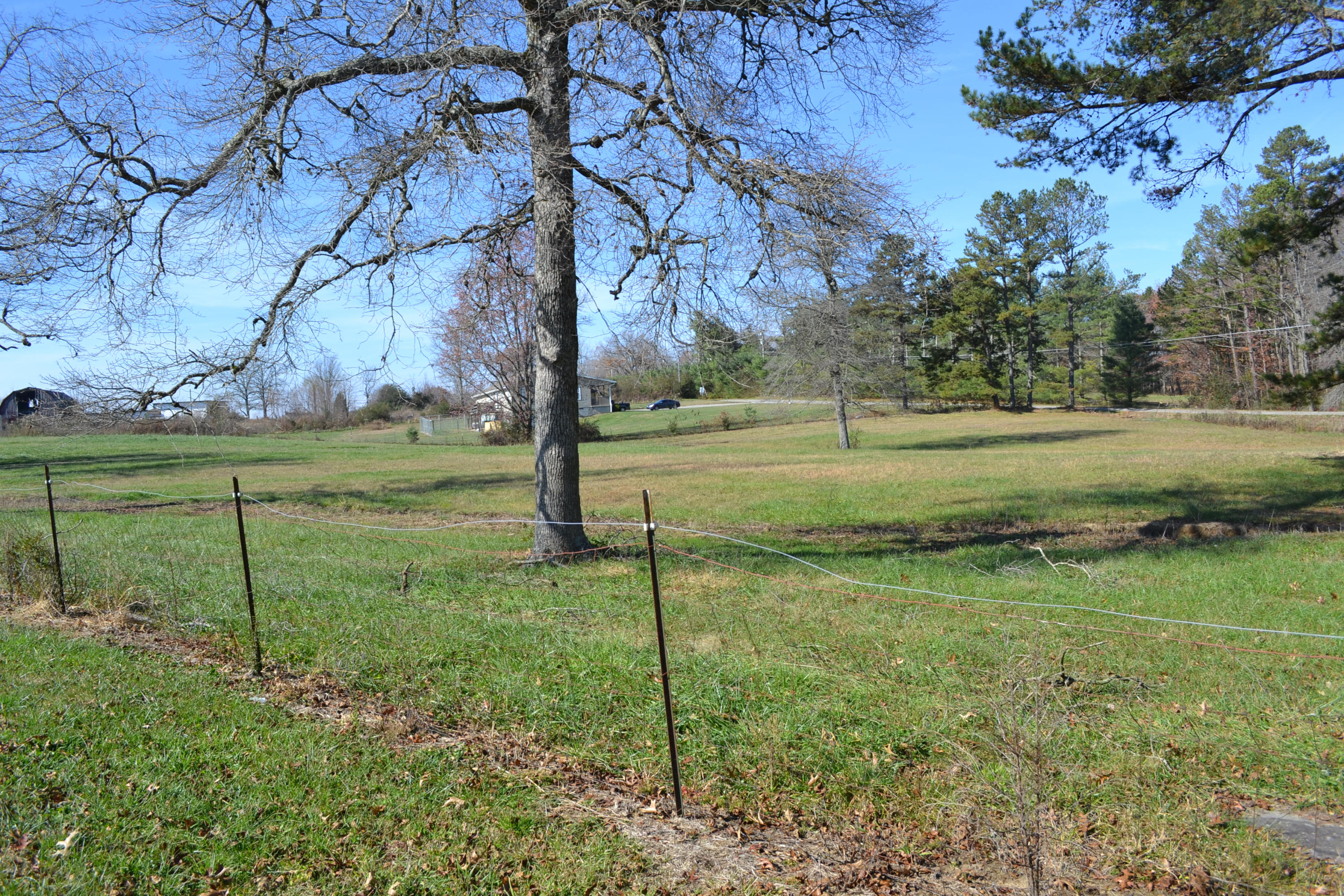 1020 Pine Ridge Lane Clarkrange, TN 38553 - Photo 14 of 39 Fenced Field