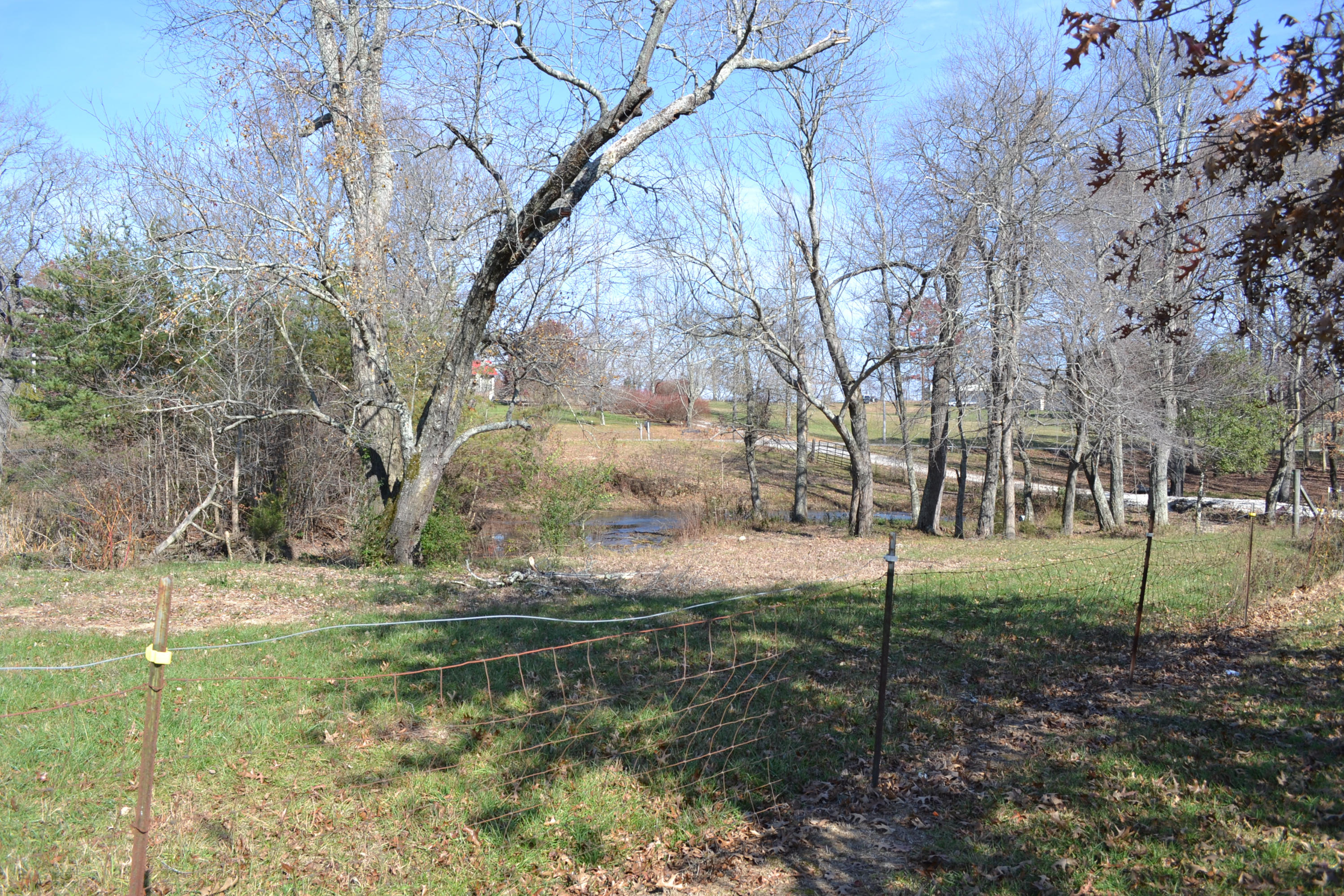 1020 Pine Ridge Lane Clarkrange, TN 38553 - Photo 18 of 39 Pond