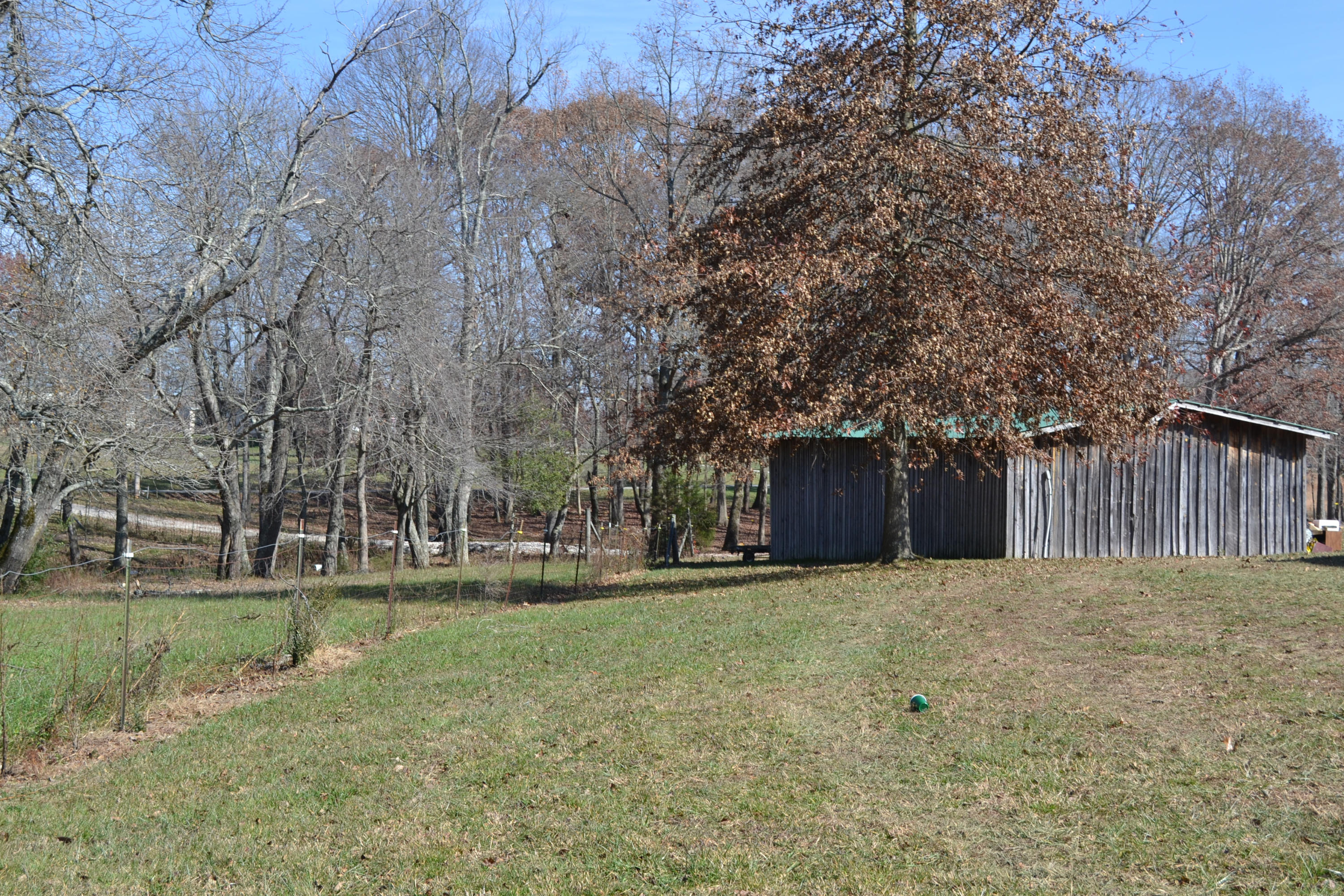 1020 Pine Ridge Lane Clarkrange, TN 38553 - Photo 20 of 39 Front Yard