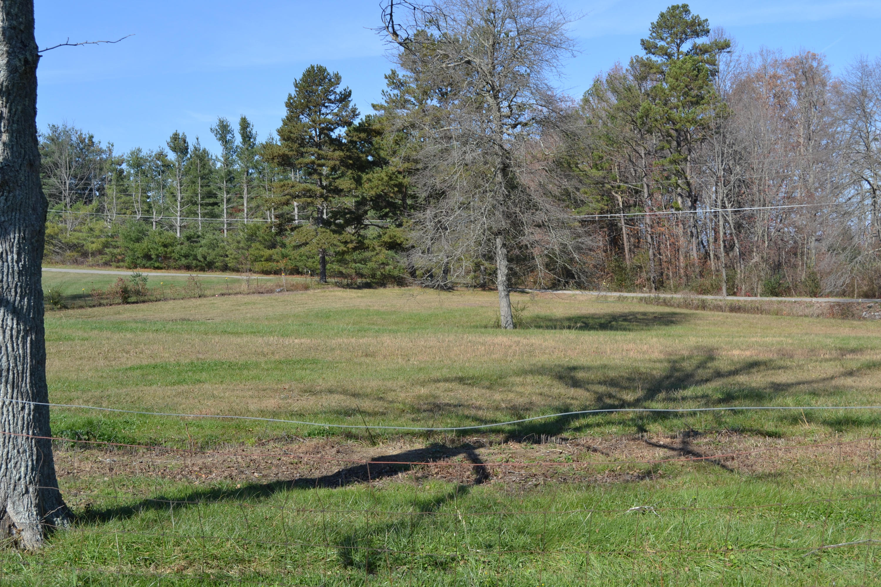 1020 Pine Ridge Lane Clarkrange, TN 38553 - Photo 21 of 39 Fenced Field