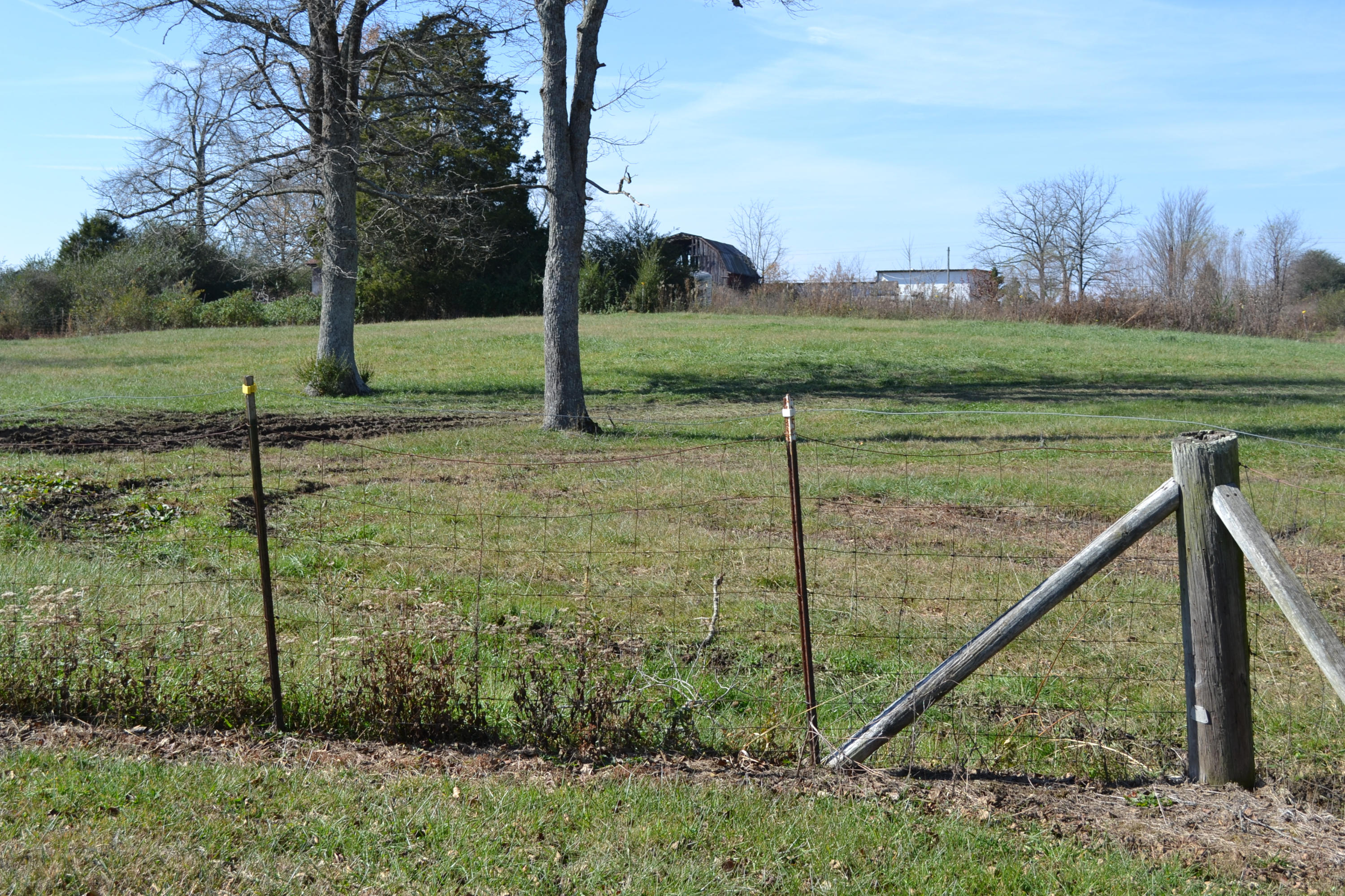 1020 Pine Ridge Lane Clarkrange, TN 38553 - Photo 22 of 39 Fenced Field