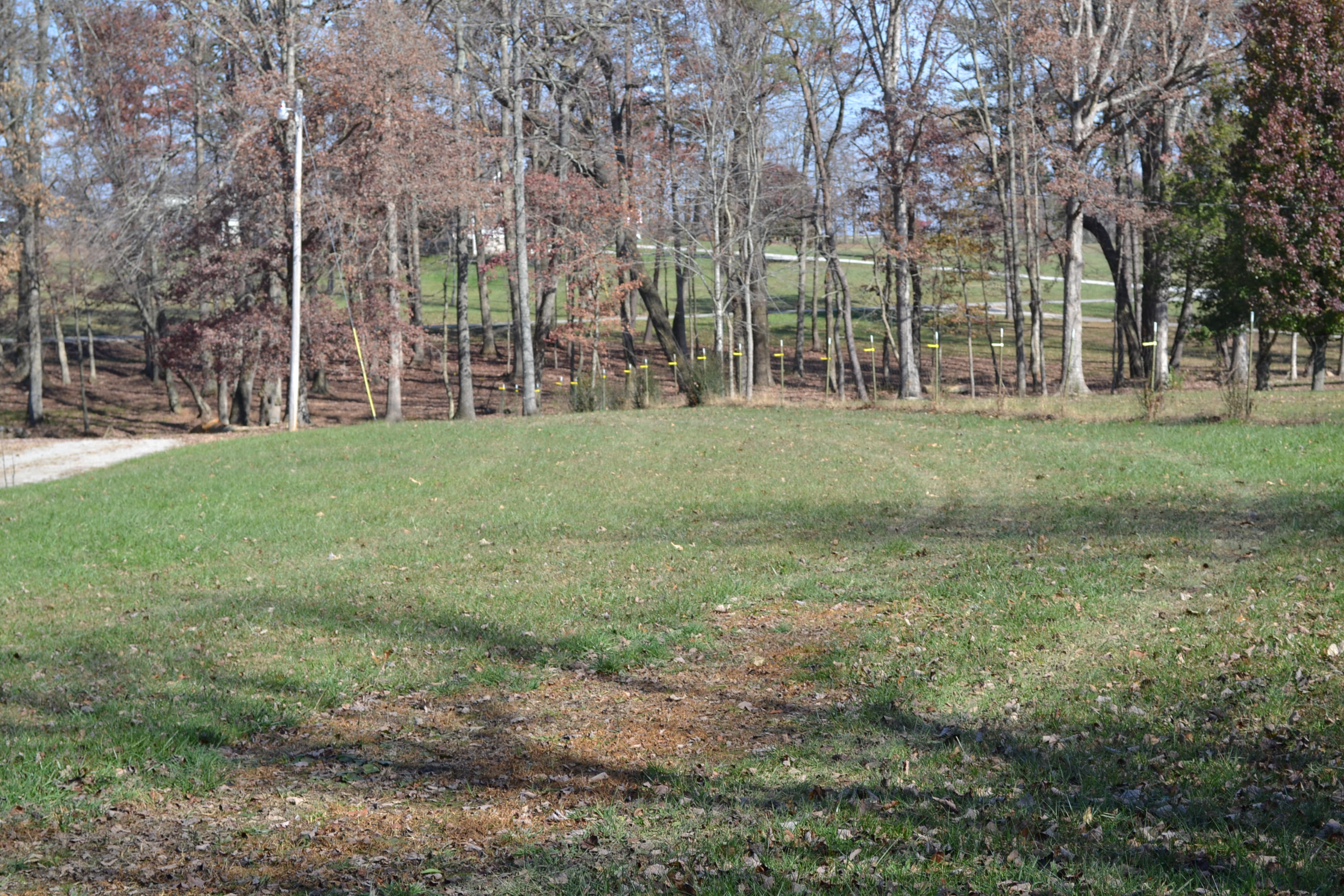 1020 Pine Ridge Lane Clarkrange, TN 38553 - Photo 24 of 39 Side Yard