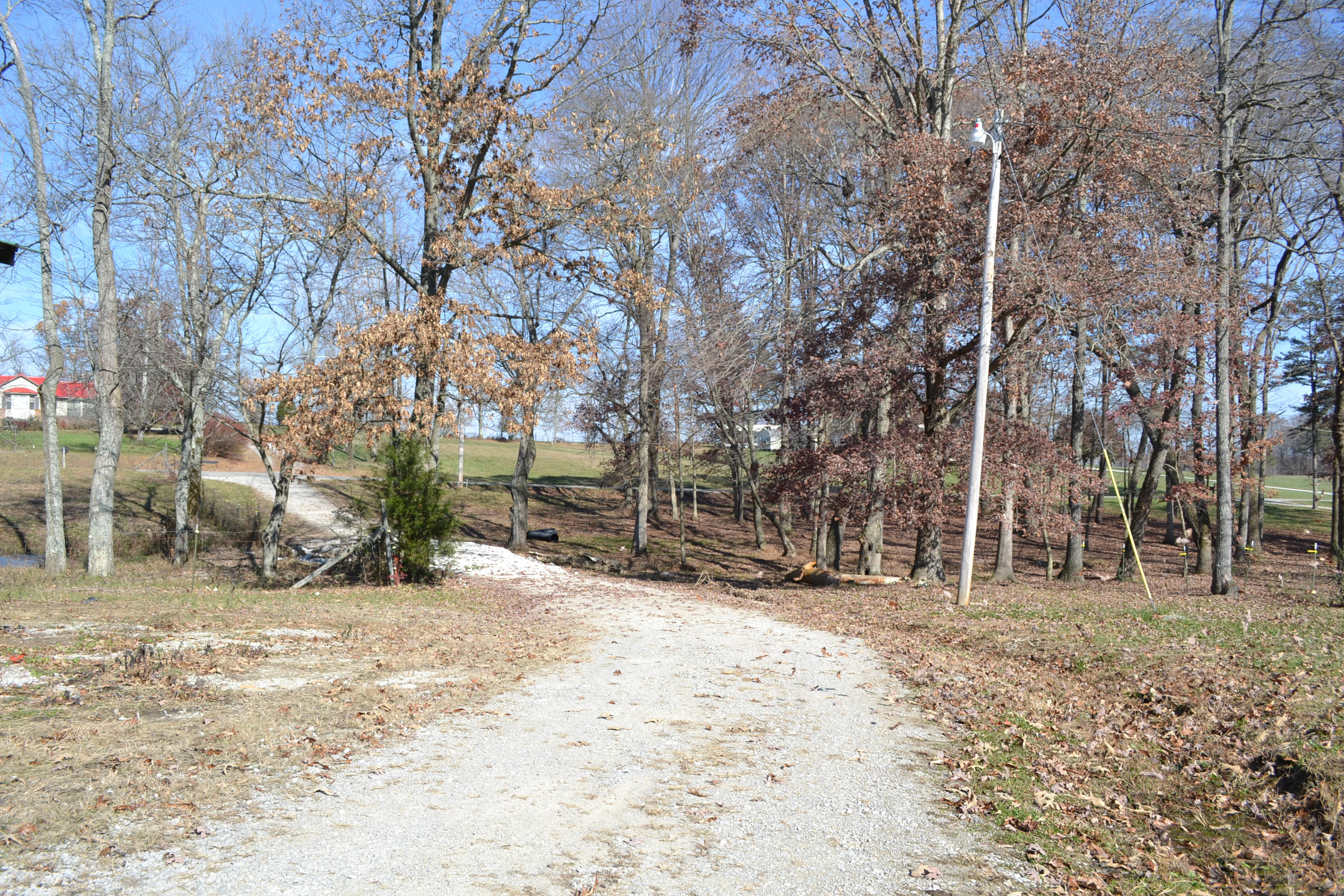 1020 Pine Ridge Lane Clarkrange, TN 38553 - Photo 30 of 39 Down the Driveway