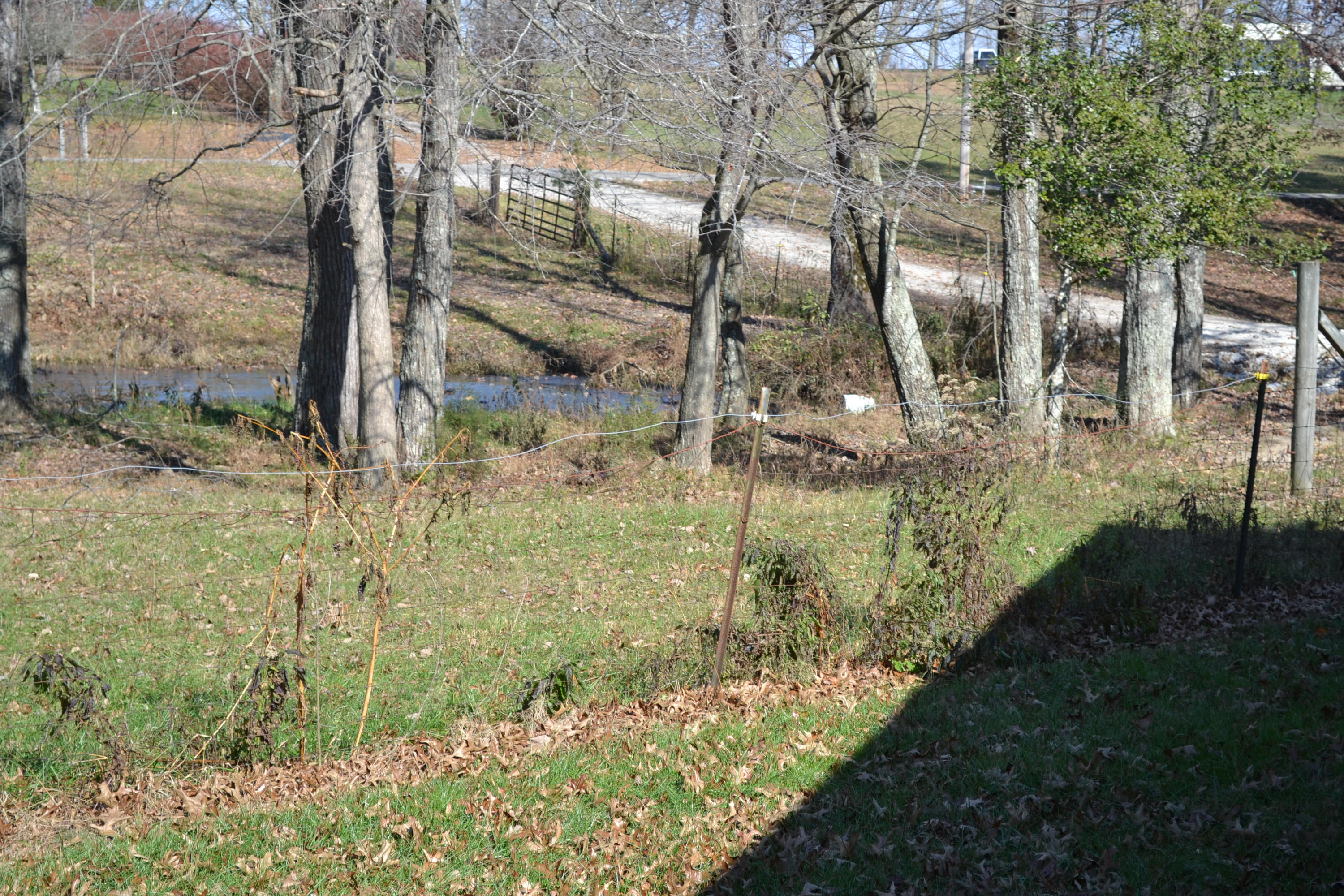 1020 Pine Ridge Lane Clarkrange, TN 38553 - Photo 32 of 39 Pond