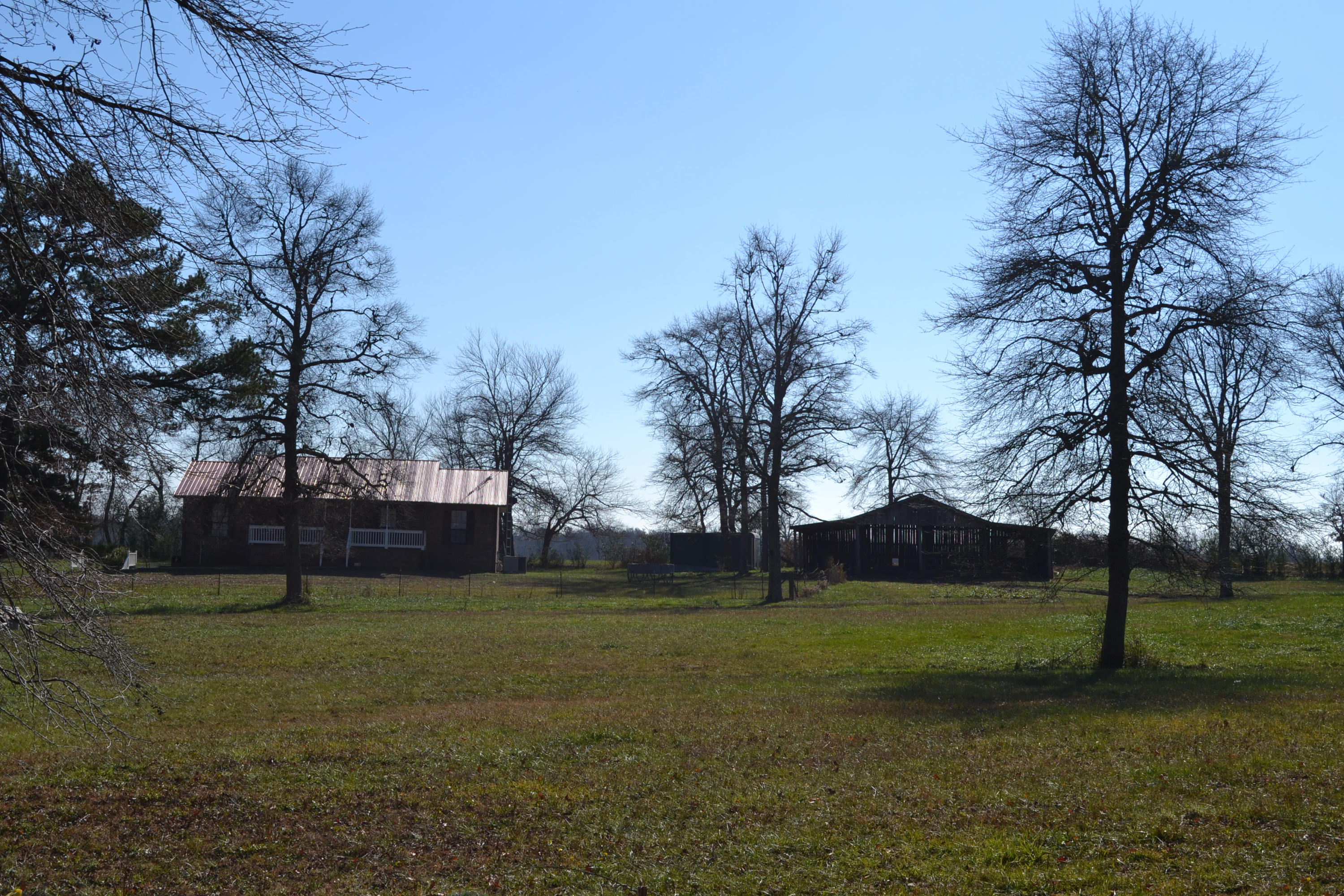1020 Pine Ridge Lane Clarkrange, TN 38553 - Photo 33 of 39 From the Road