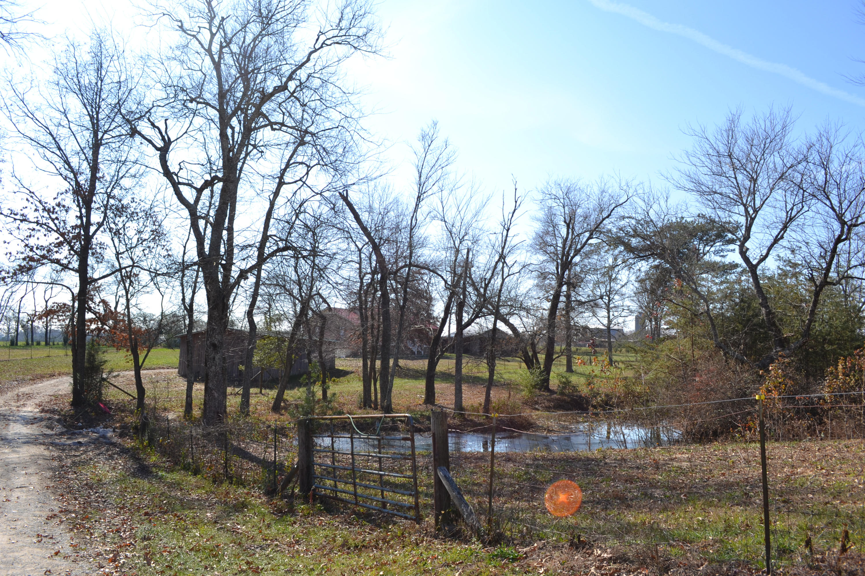 1020 Pine Ridge Lane Clarkrange, TN 38553 - Photo 34 of 39 From the road