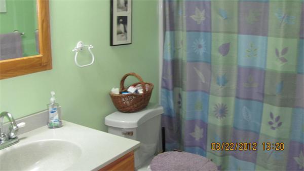 20 Strong Road Southampton, MA 01073 - Photo 16 of 21 a bathroom with a sink toilet and shower