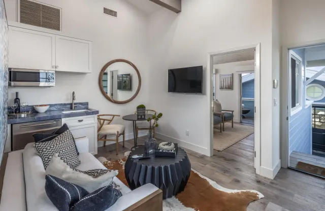 a living room with a couch and a potted plant