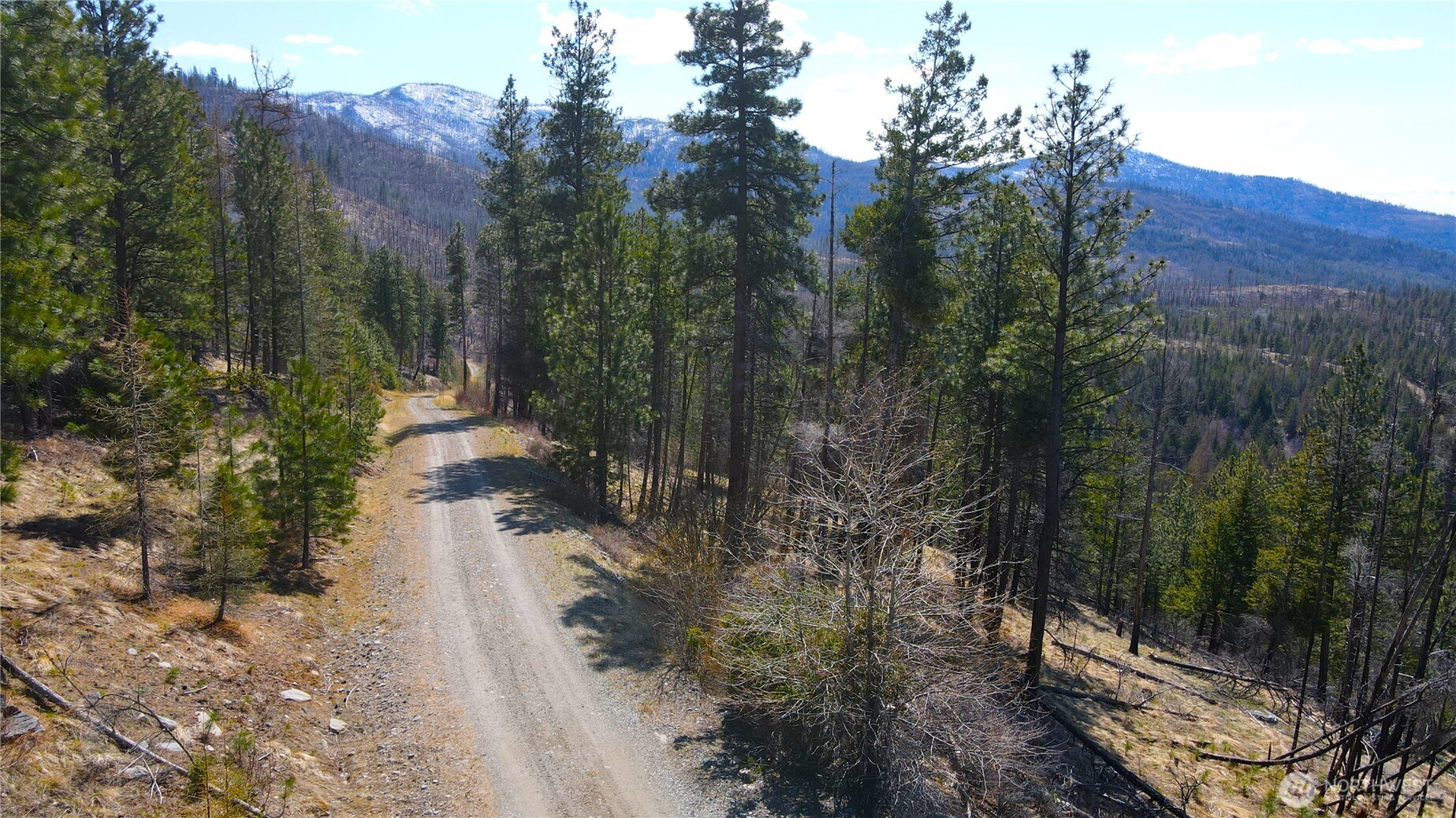 32-1 Twin Creeks Ranch Riverside, WA 98849 - Photo 14 of 28 a view of a forest with a tree