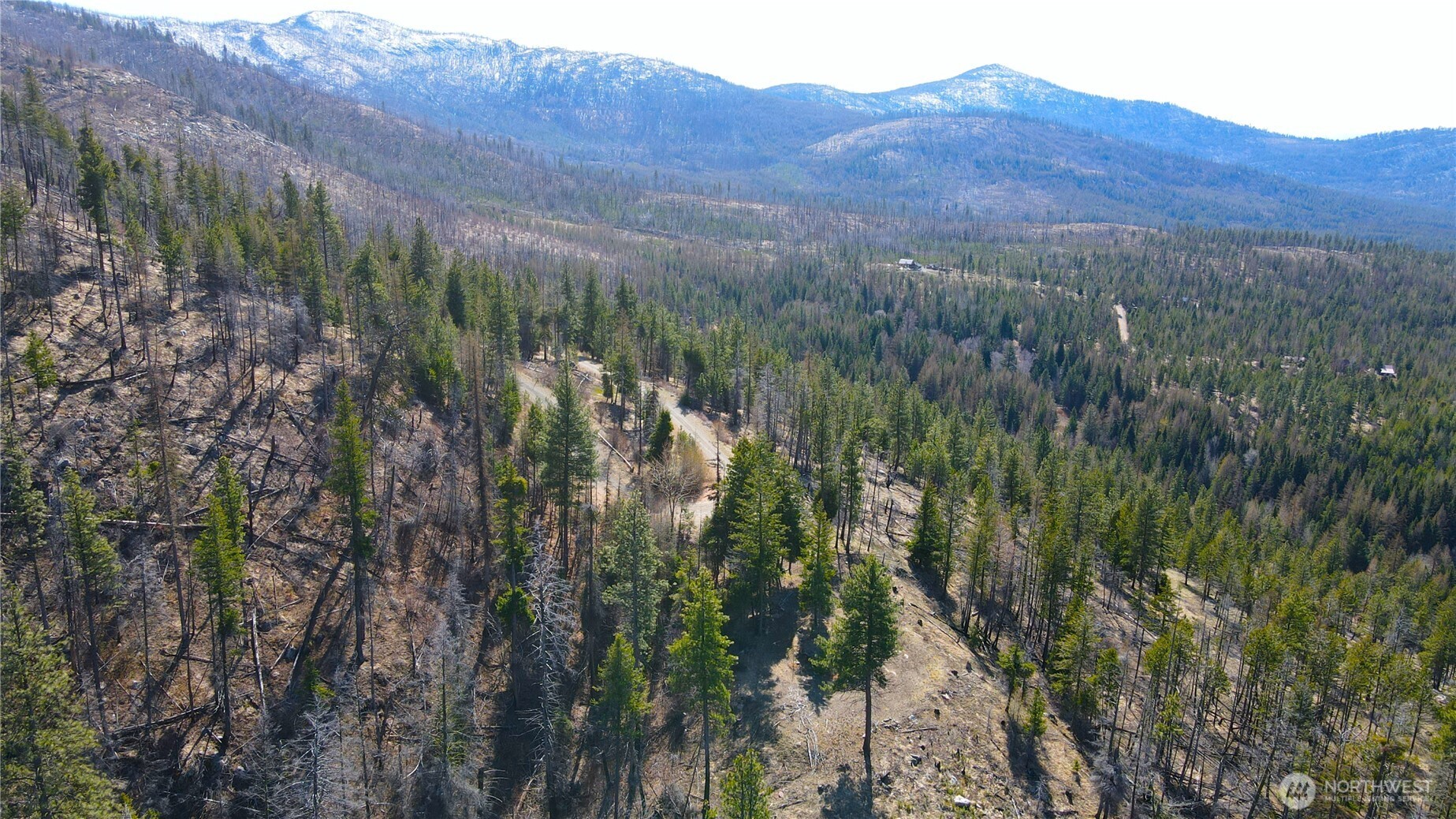 32-1 Twin Creeks Ranch Riverside, WA 98849 - Photo 2 of 28 a view of a lush green forest with mountains in the background