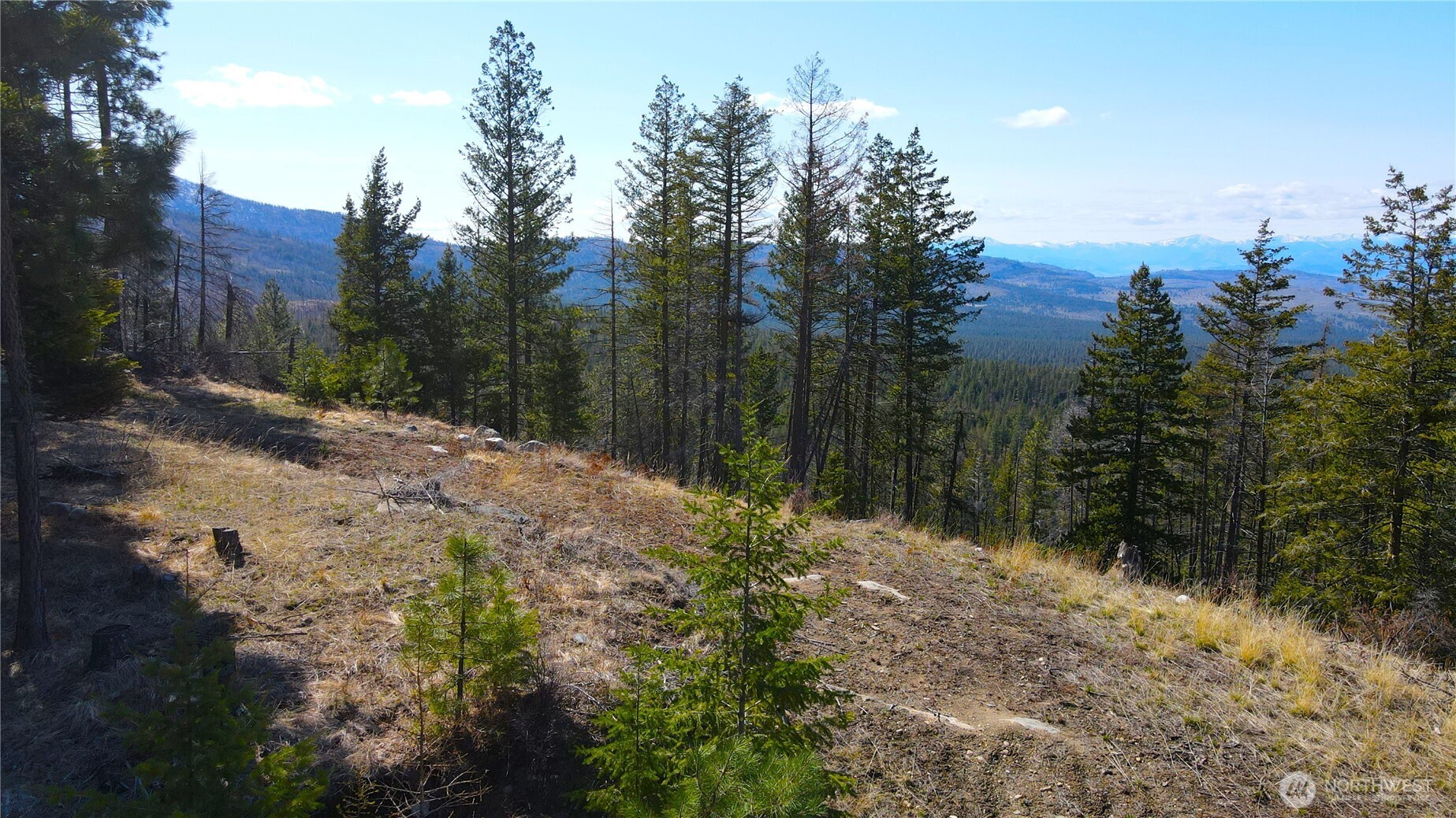 32-1 Twin Creeks Ranch Riverside, WA 98849 - Photo 7 of 28 a view of a yard with a tree
