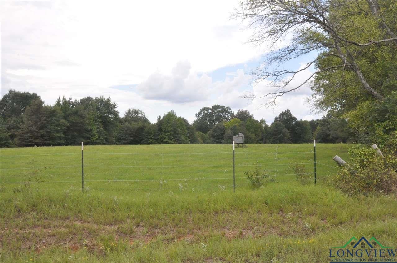 County Rd County Road Gary City, TX 75643 - Photo 7 of 10 Gallery Image 7