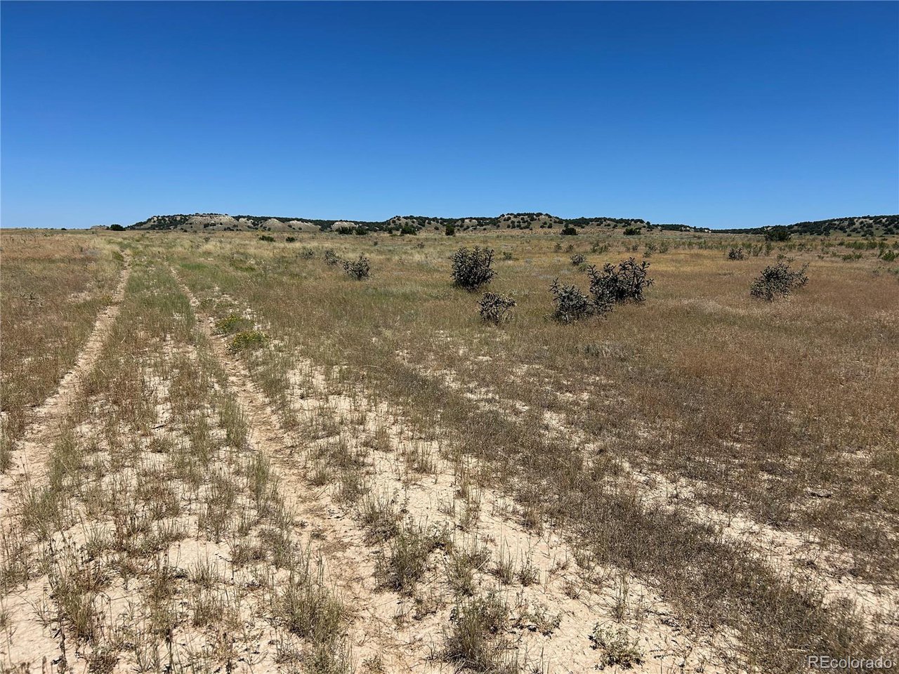 4 Outback Ranch Model, CO 81059 - Photo 12 of 19