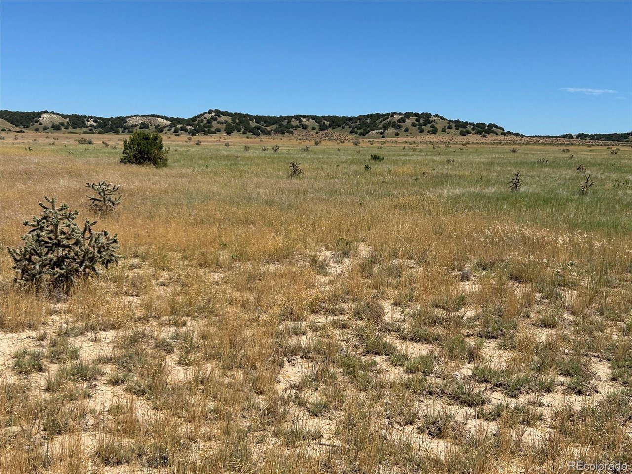 4 Outback Ranch Model, CO 81059 - Photo 4 of 19