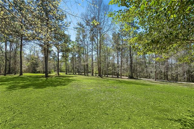 80358 Bob Baxter Road Bush, LA 70431 - Photo 24 of 31