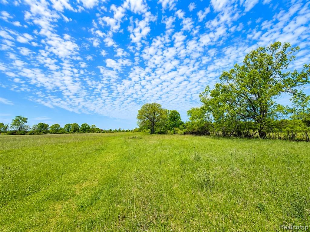 15184 Dudley Road Brown City, MI 48416 - Photo 8 of 19