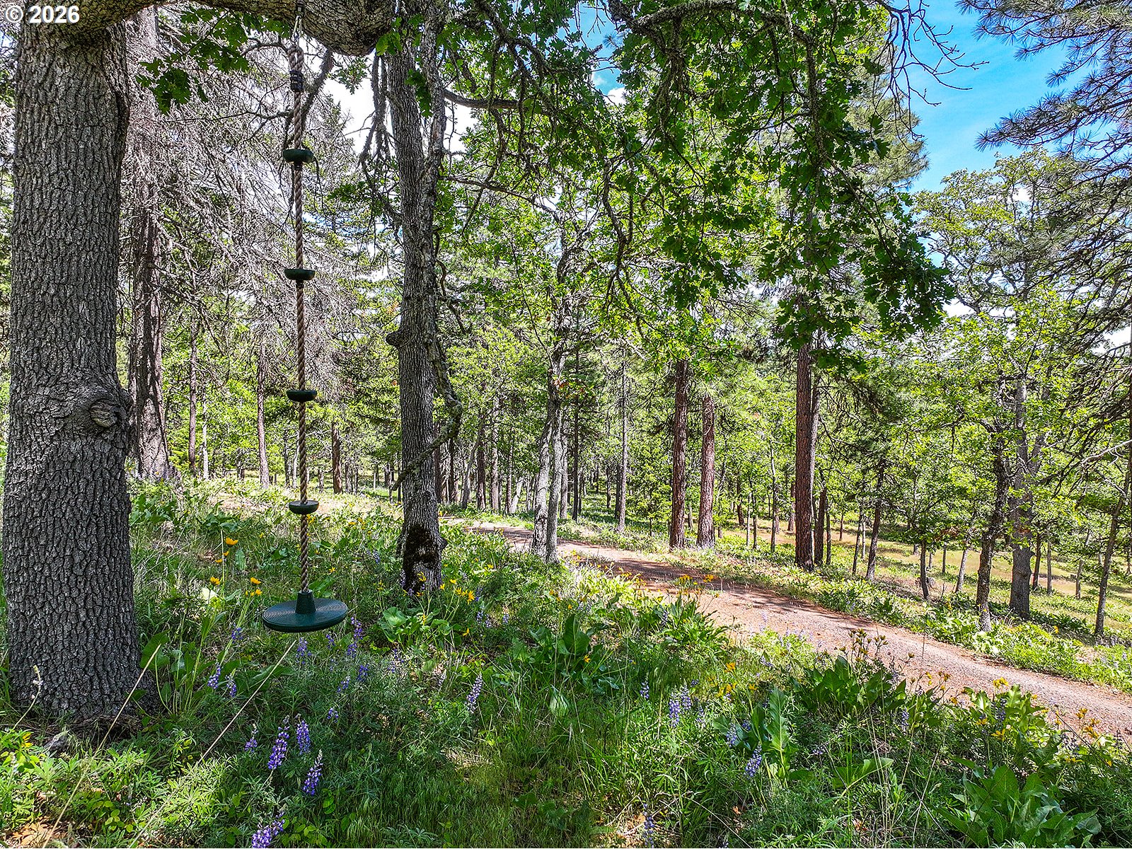 Thompson Trail Goldendale, WA 98620 - Photo 4 of 15 a view of outdoor space and yard