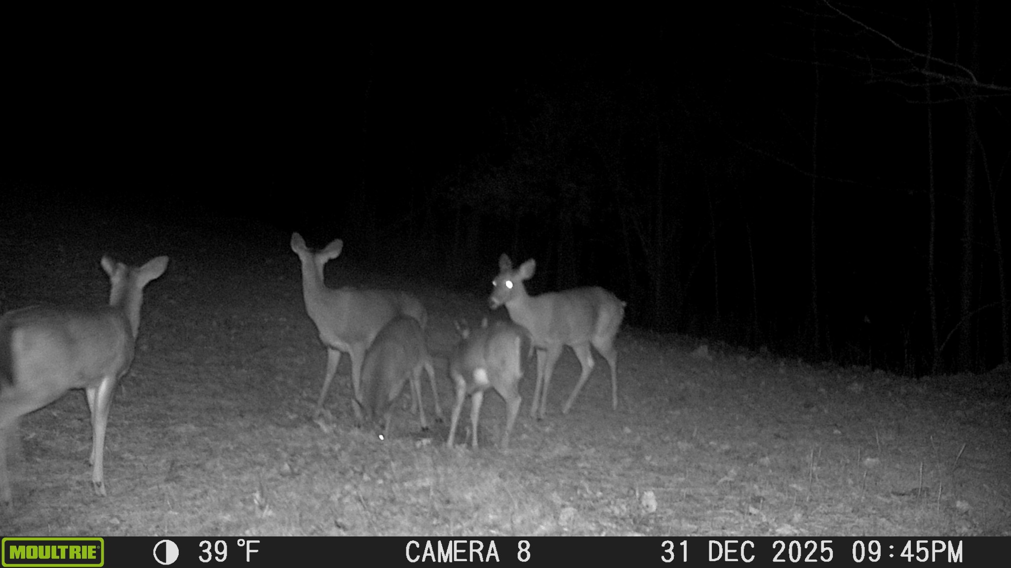 0 West Sheepneck Road Mount Pleasant, TN 38474 - Photo 47 of 50 Gallery Image 47