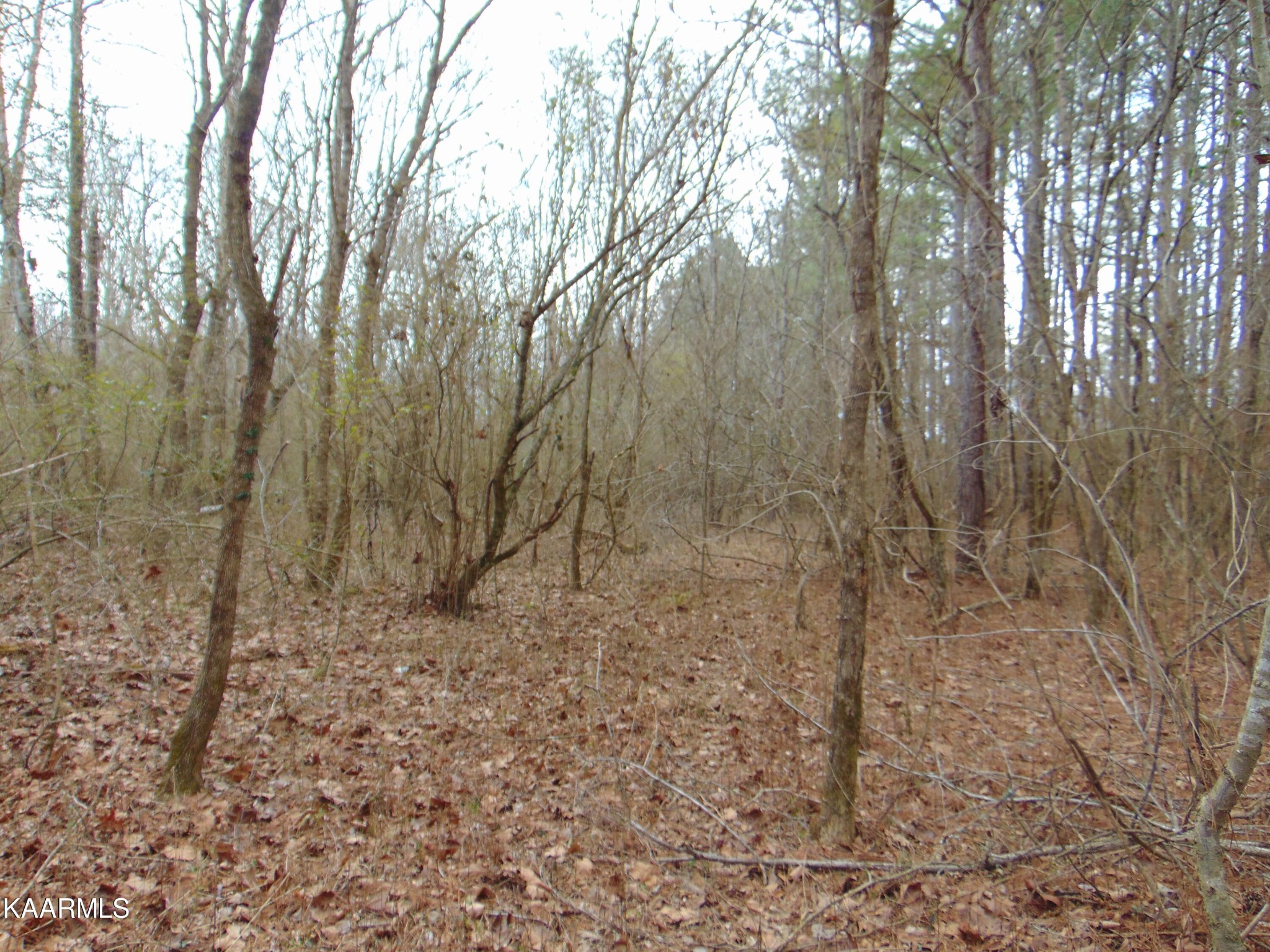 11 Athens Road Calhoun, TN 37309 - Photo 24 of 59 Gallery Image 24