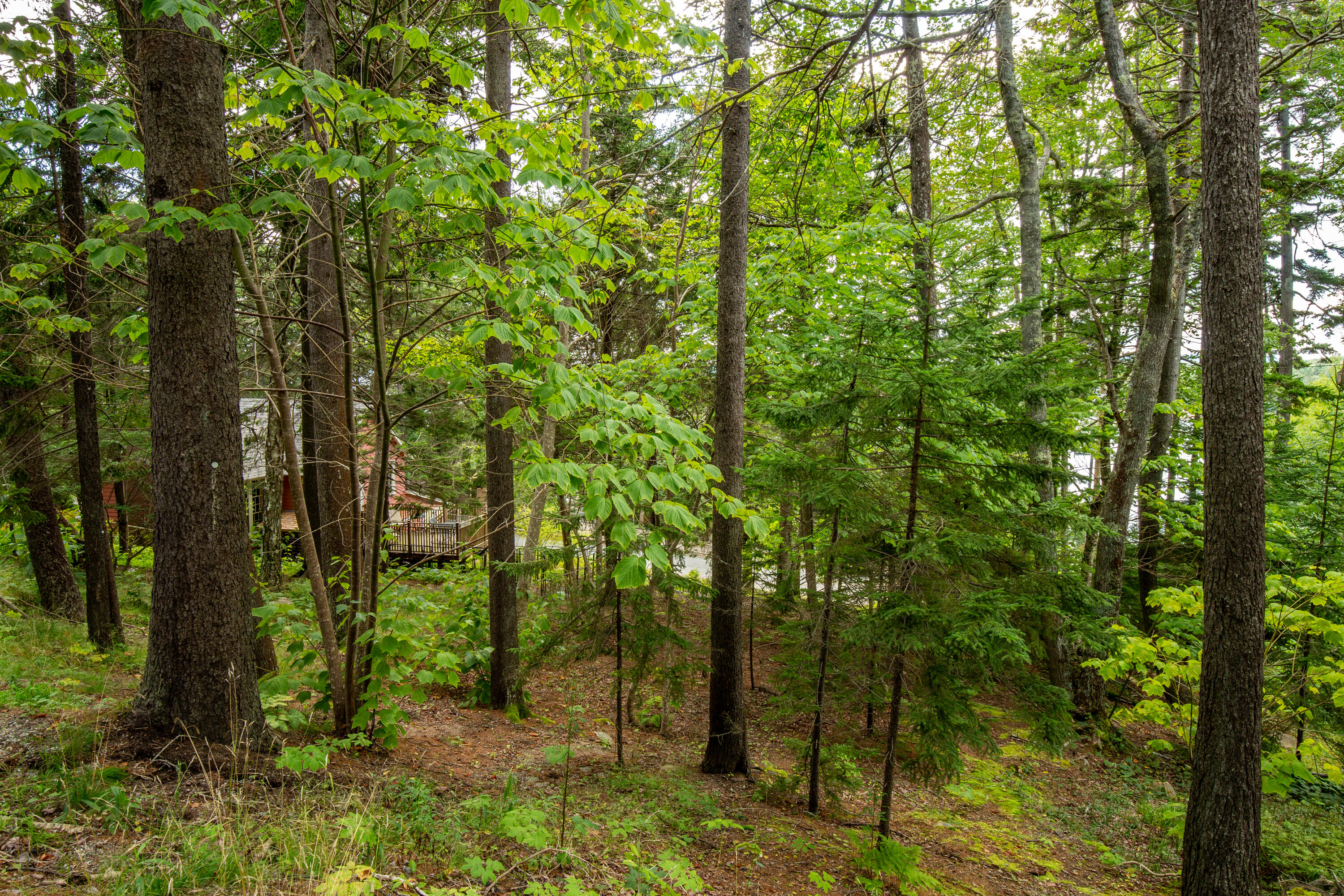 40 Steam Boat Wharf Road Mount Desert, ME 04675 - Photo 26 of 26 45-40SteamboatWharf-SealHarbor-KS