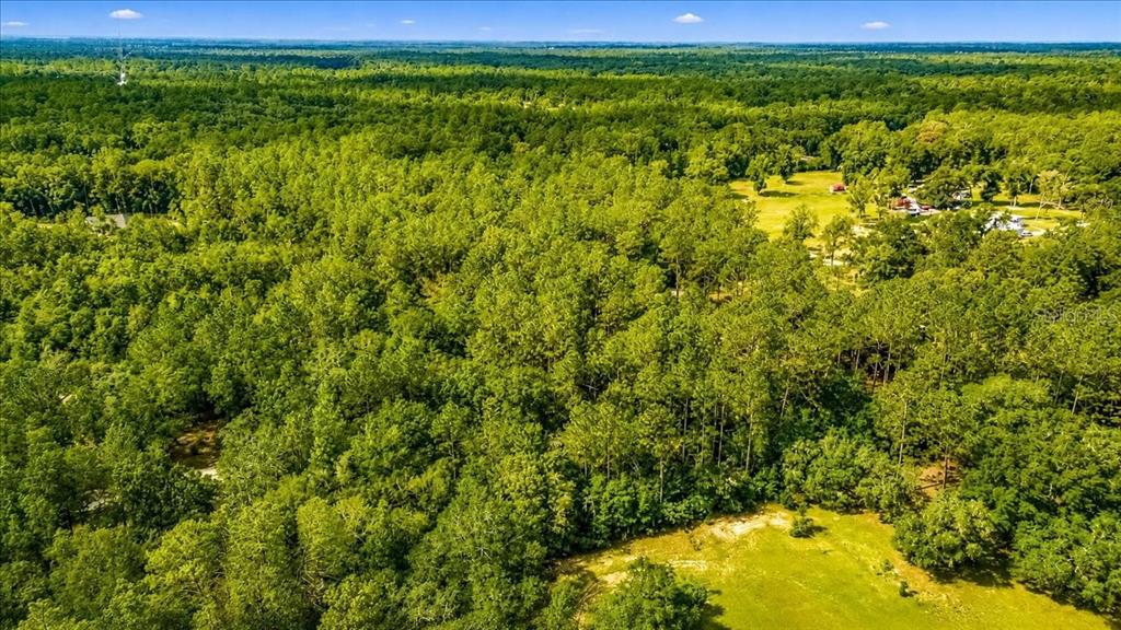 0 Southwest 34th Street Dunnellon, FL 34432 - Photo 12 of 14 Gallery Image 12