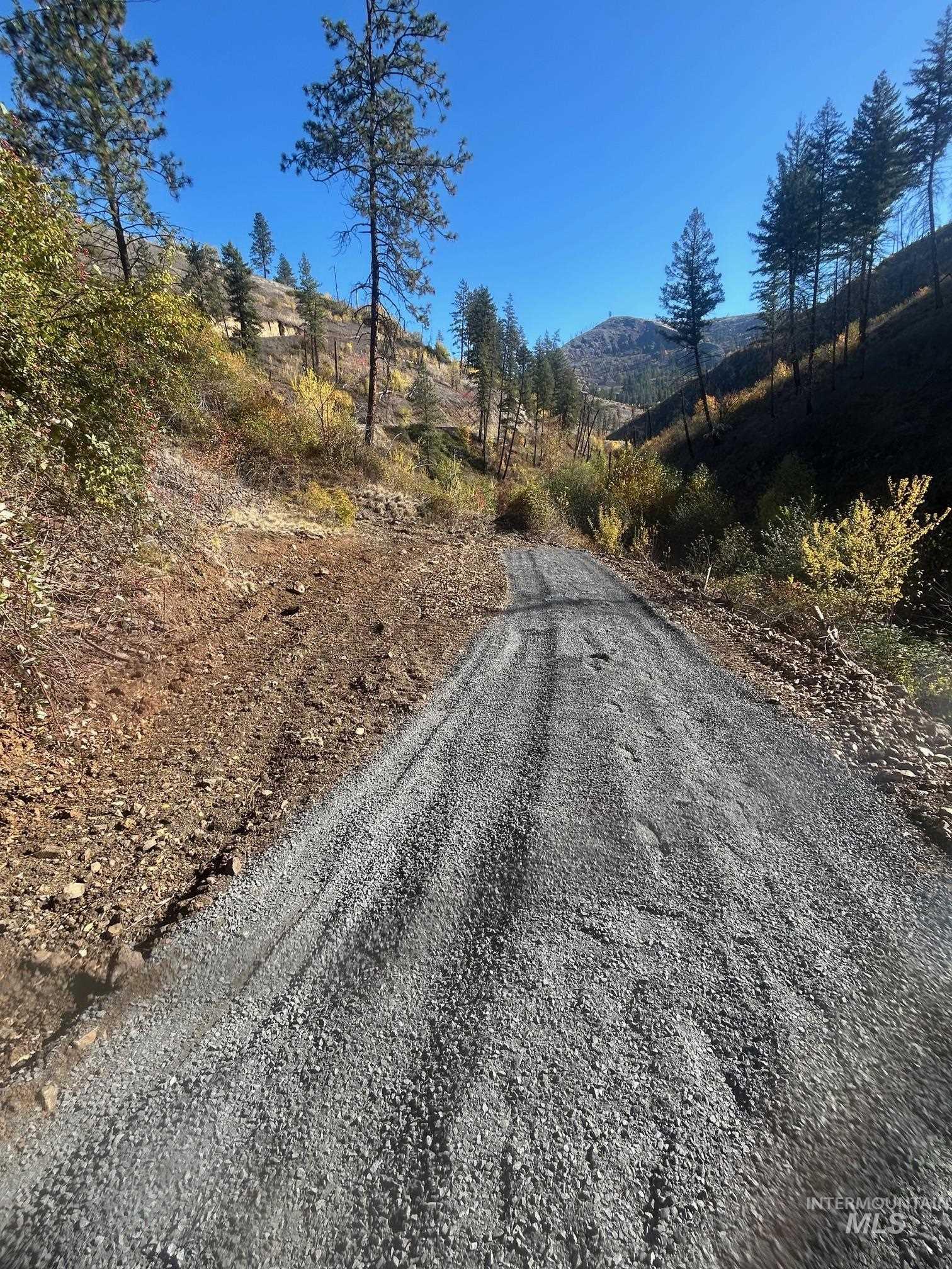 View of dirt / gravel road