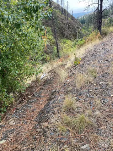 $29,000 | 370 Glenwood Road, Kamiah, ID 83536