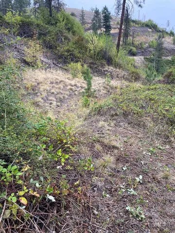 $29,000 | 370 Glenwood Road, Kamiah, ID 83536