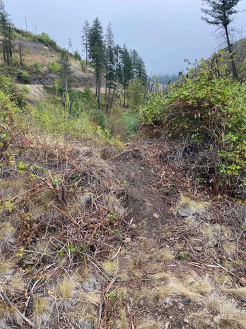 $29,000 | 370 Glenwood Road, Kamiah, ID 83536