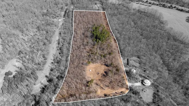 a view of a dry yard