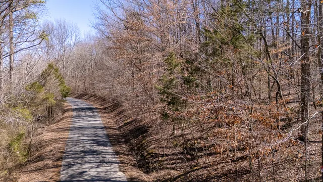 a plant that is in a field