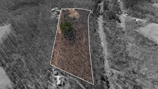 a view of roof and wooden floor