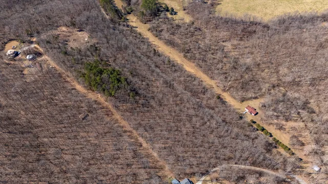a view of a dry yard