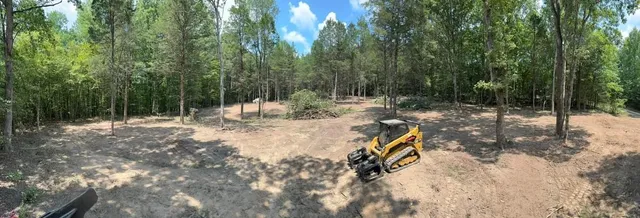 a view of outdoor space with trees