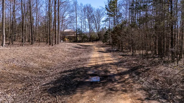 a view of a yard with plants and trees