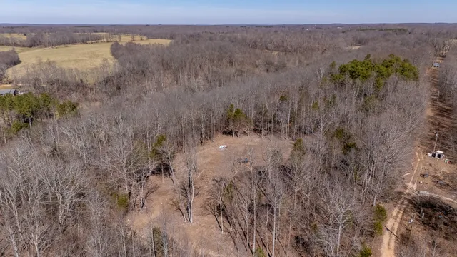 a view of a lush green field