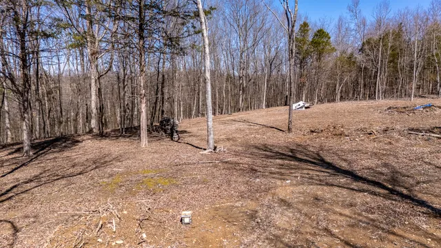 a view of a yard covered in snow