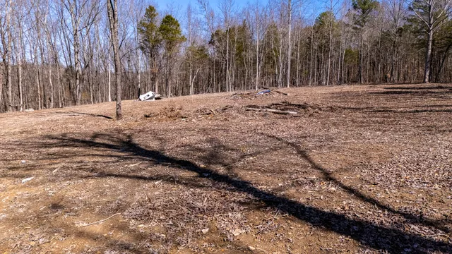 a view of a backyard with large trees
