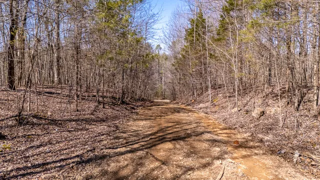 a view of a dry field