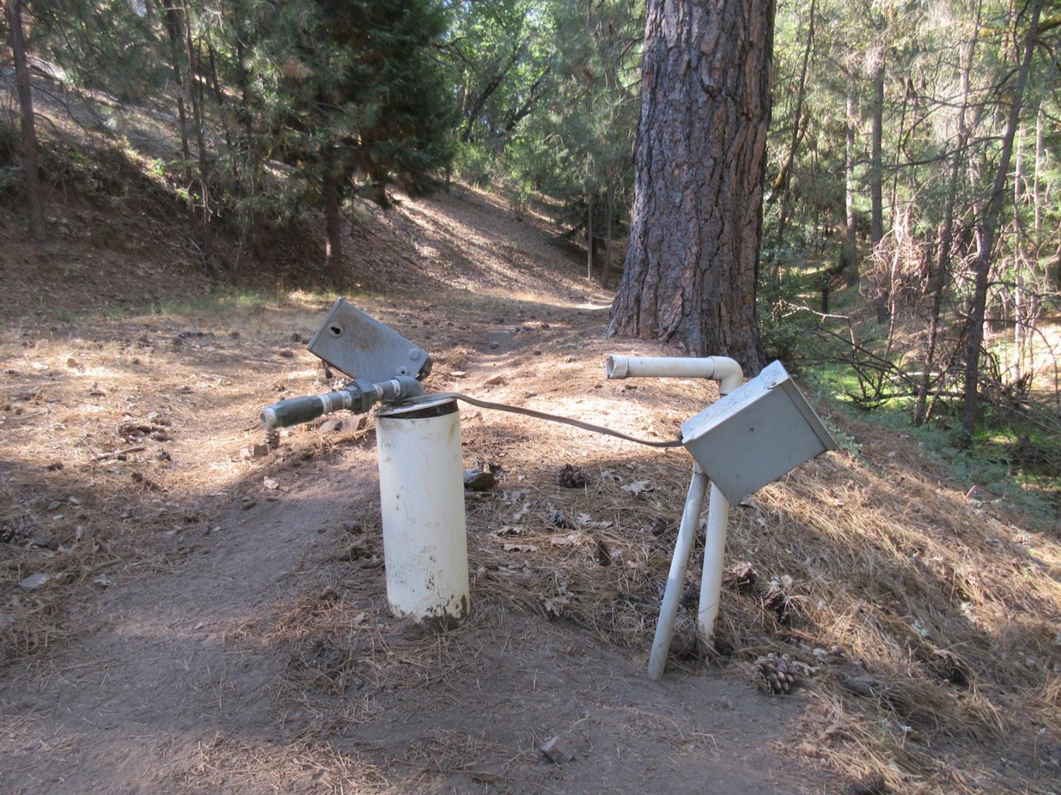 26355 Barb Wire Lane Colfax, CA 95713 - Photo 11 of 43 a view of a yard with a tree