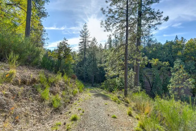 a big yard with lots of green space