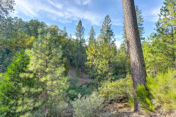 $174,900 | 26355 Barb Wire Lane, Colfax, CA 95713