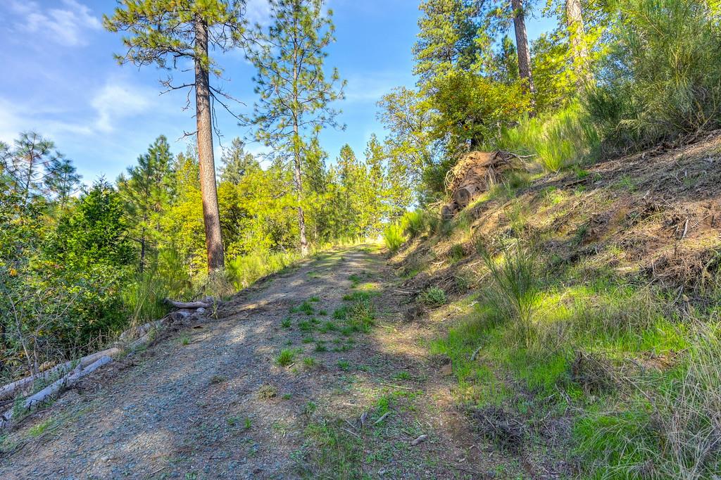 26355 Barb Wire Lane Colfax, CA 95713 - Photo 16 of 43 a backyard of a house with lots of green space